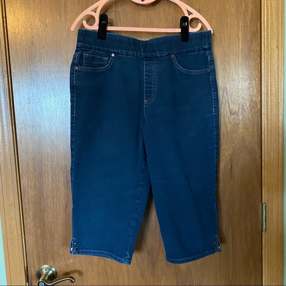 Gloria Vanderbilt “All Around Slimming Effect” Long Jean Shorts